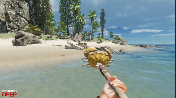 【7.02】PS4《荒岛求生 Stranded Deep》英文版pkg下载（v1.01）-2.jpg