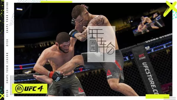 【5.05】PS4《UFC 终极格斗冠军赛4 EA Sports UFC 4》中文版PKG下载V28-2.jpg