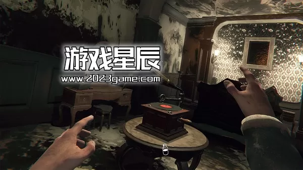 【9.0】PS4《层层恐惧VR Layers of Fear VR》英文版PKG下载-6.jpg