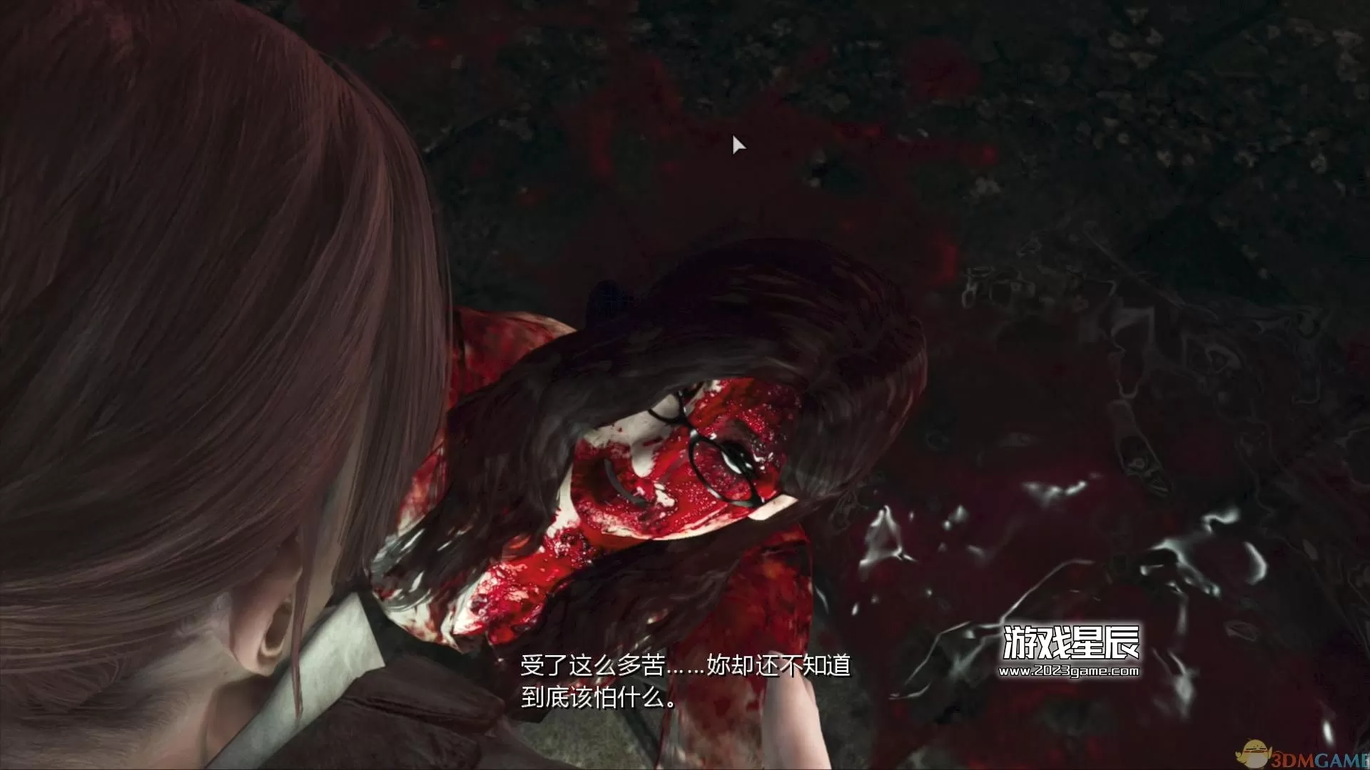 【json修改】PS4《生化危机：启示录2 Resident Evil Revelations 2 Deluxe Edition》中文pkg下载【含V1.05+金手指】-4.jpg